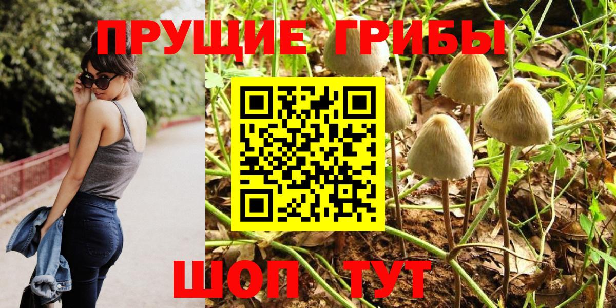 Псилоцибиновые грибы Cubensis  Вход с VPN  дарнет шоп  Серов  Псилоцибиновые грибы ЛСД 